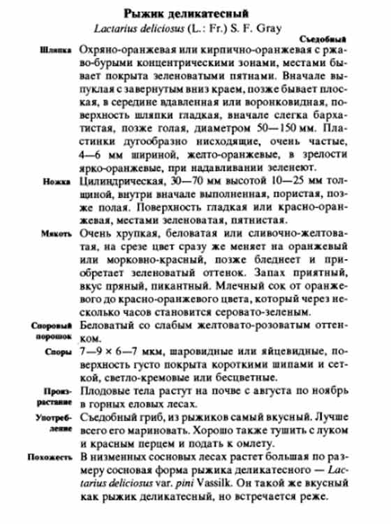 Гриб Рыжик деликатесный описание