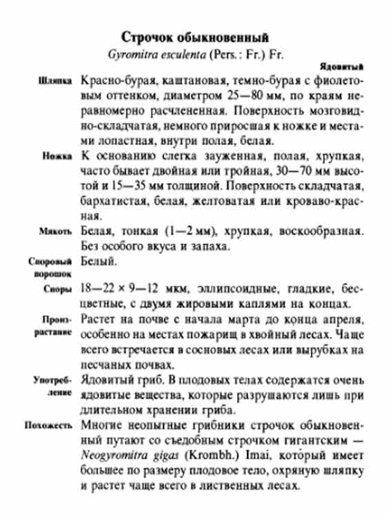 Строчок обыкновенный описание
