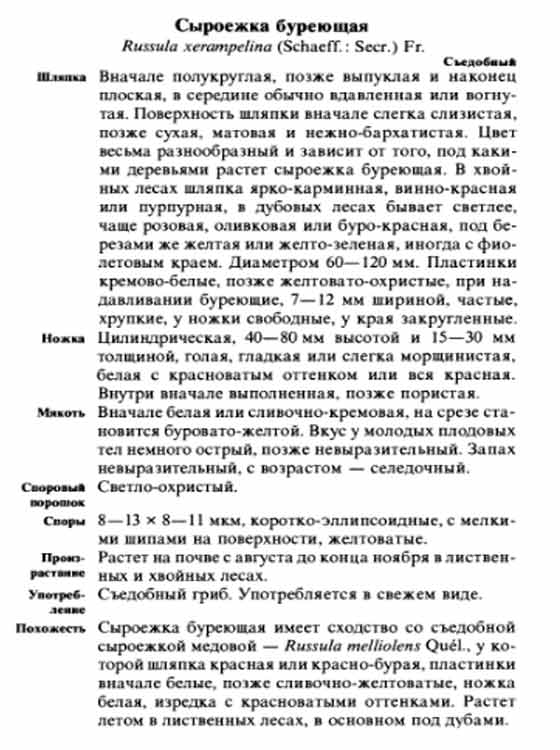 Описание сыроежки буреющей в картинках