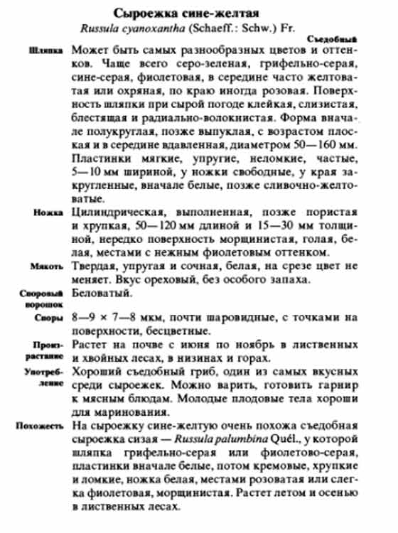 Описание сыроежки сине-жёлтой в картинках