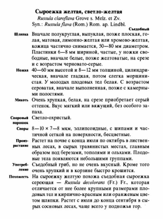 Описание сыроежки жёлтой в картинках