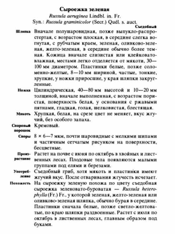 Описание сыроежки зелёной в картинках