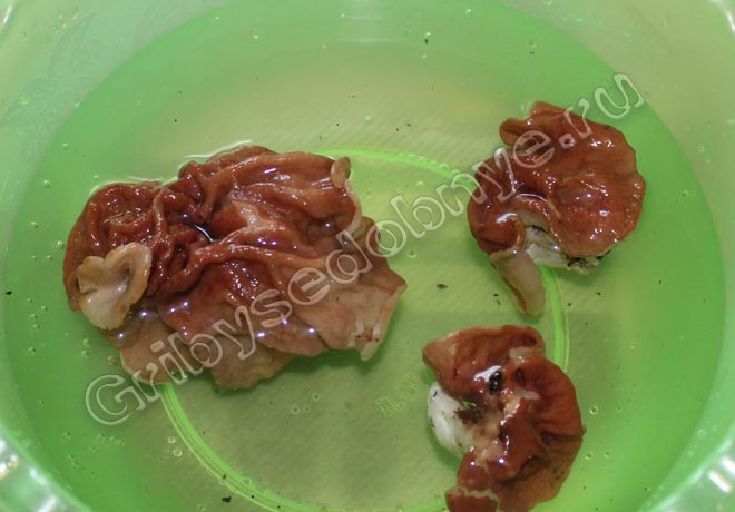 Рецепт приготовления грибного супа со строчками и рисом шаг 1