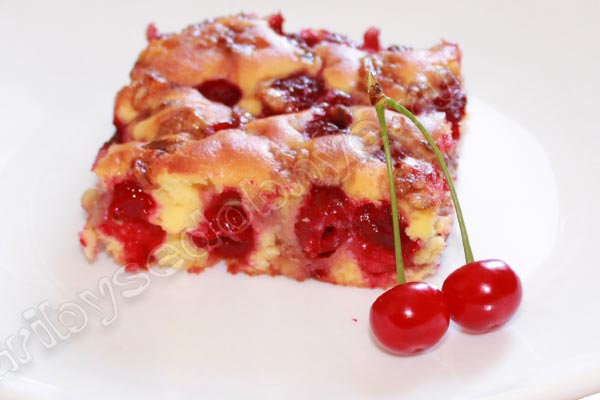 Кусочек вишнёвого пирога с лесными орехами и мёдом, декорированный свежей вишней фото
