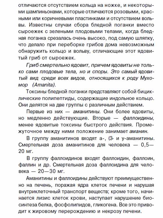 Бледная поганка подробное книжное описание