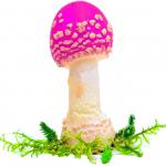 Фиолетовый мухомор (photo collage)